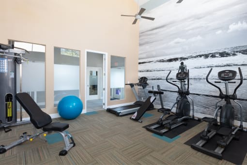 a gym with cardio equipment and a mural of a beach